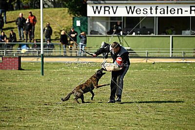 Bico z Kimovy smeèky