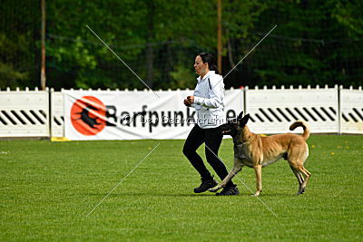 Bison vom bösen Onkel