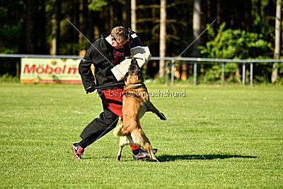Bison vom bösen Onkel