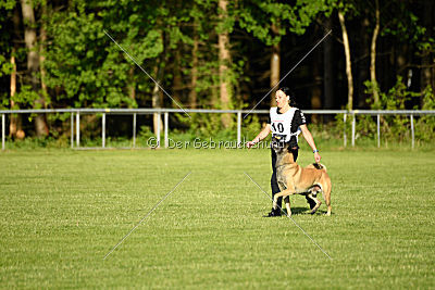 Bison vom bösen Onkel