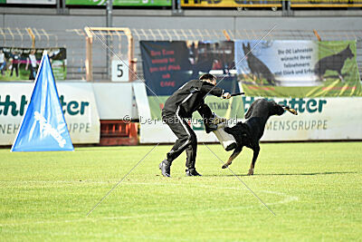 Black-Jack Allgäuer Lausbuben