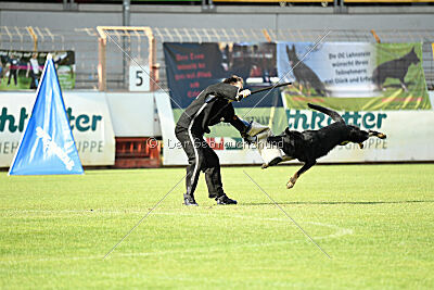 Black-Jack Allgäuer Lausbuben