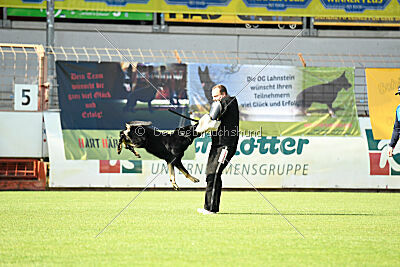 Black-Jack Allgäuer Lausbuben