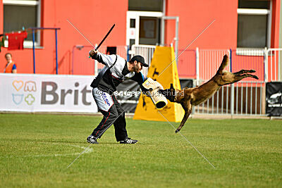 Black Jack vom Heldenkreuz