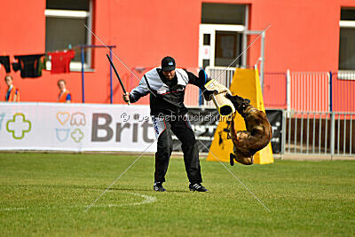 Black Jack vom Heldenkreuz
