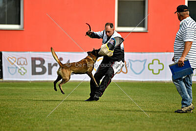 Black Jack vom Heldenkreuz