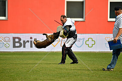Black Jack vom Heldenkreuz