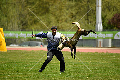 Black Jack vom Heldenkreuz