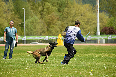 Black Jack vom Heldenkreuz