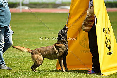 Black Jack vom Heldenkreuz