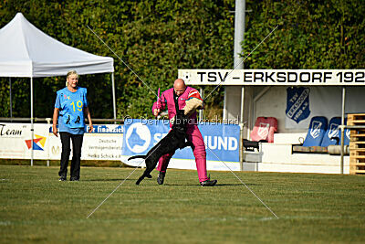 Blackbird in spite of all