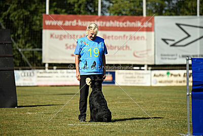 Blackbird in spite of all