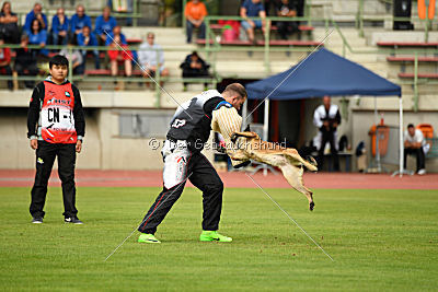 Blade vom Gessiner Land