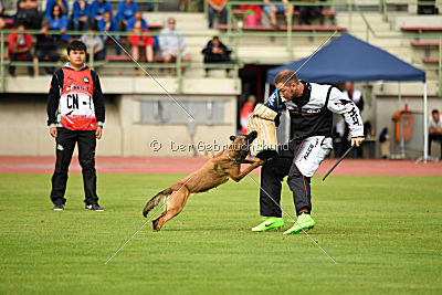 Blade vom Gessiner Land