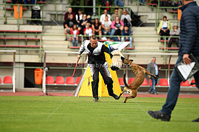 Blade vom Gessiner Land