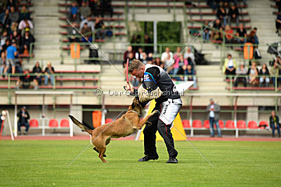 Blade vom Gessiner Land