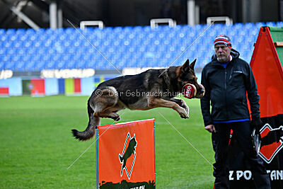 BlixtraSport's Astor