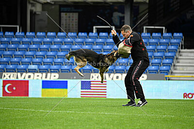 BlixtraSport's Astor