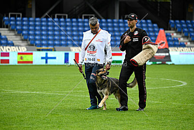 BlixtraSport's Astor