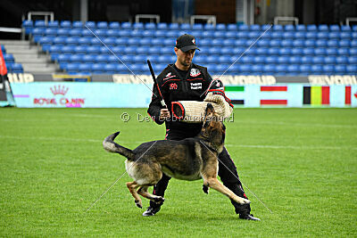 BlixtraSport's Astor