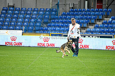 BlixtraSport's Astor