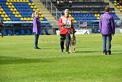 BlixtraSport's Astor