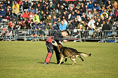 BlixtraSport's Astor