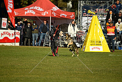 BlixtraSport's Astor