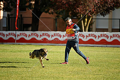 BlixtraSport's Astor