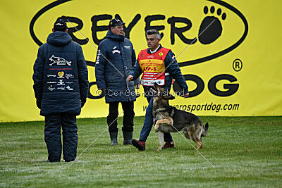 BlixtraSport's Astor