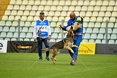 Blixtrasport's Astor