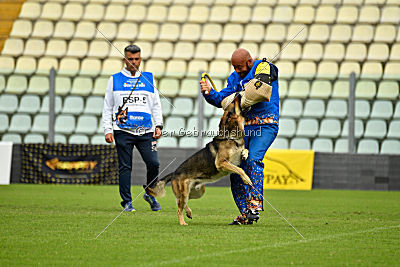 Blixtrasport's Astor