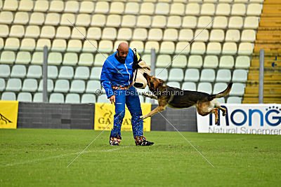 Blixtrasport's Astor