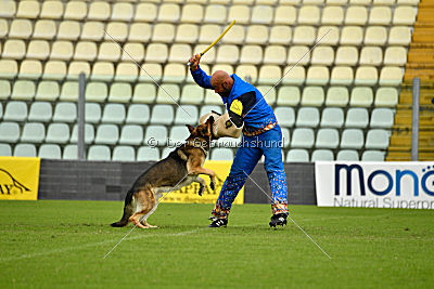 Blixtrasport's Astor