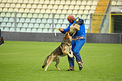 Blixtrasport's Astor