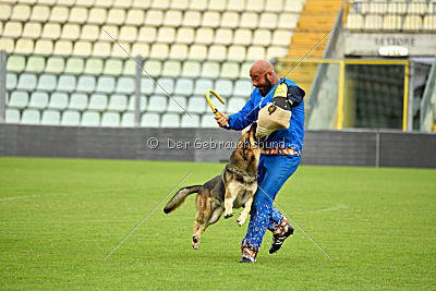 Blixtrasport's Astor