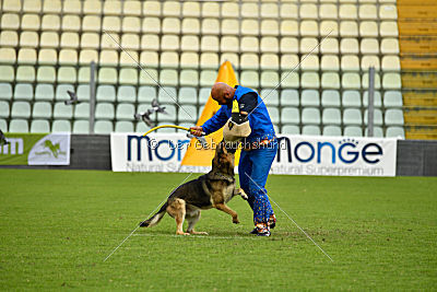 Blixtrasport's Astor