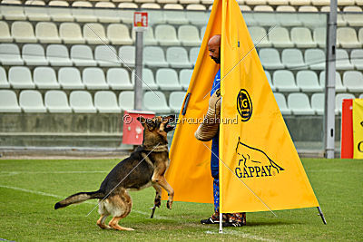 Blixtrasport's Astor