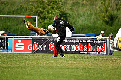 Blues vom Haus Mecki