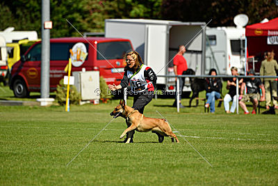 Blues vom Haus Mecki