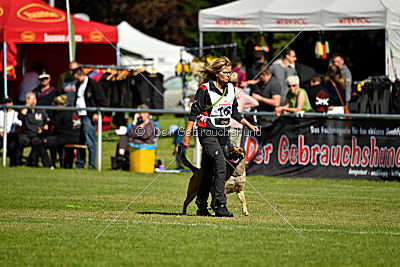 Blues vom Haus Mecki