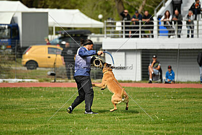 Bob Marley Is Always Crazy