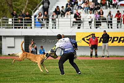 Bob Marley Is Always Crazy