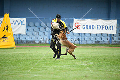 Bob Marley vom Puren Leben
