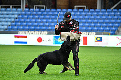 Bolle vom Drachenwolf