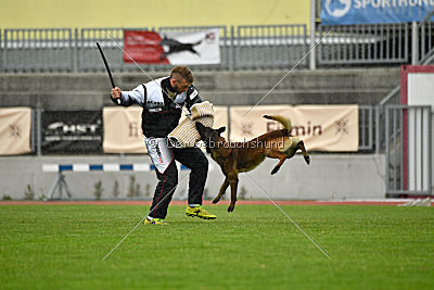 Bolt van Kluggenheim