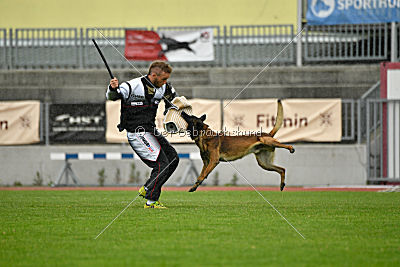Bolt van Kluggenheim