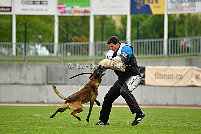 Bolt van Kluggenheim