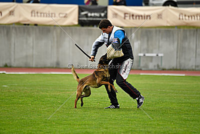 Bolt van Kluggenheim