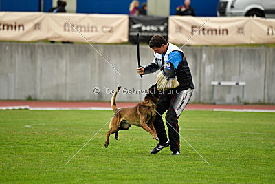 Bolt van Kluggenheim